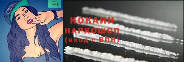 прущие грибы Пролетарск