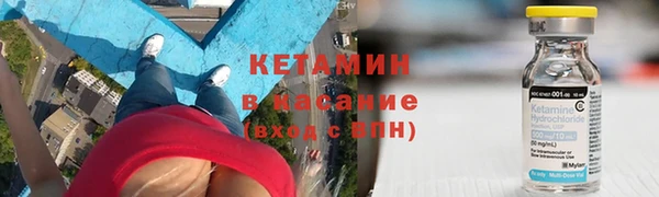 прущие грибы Пролетарск