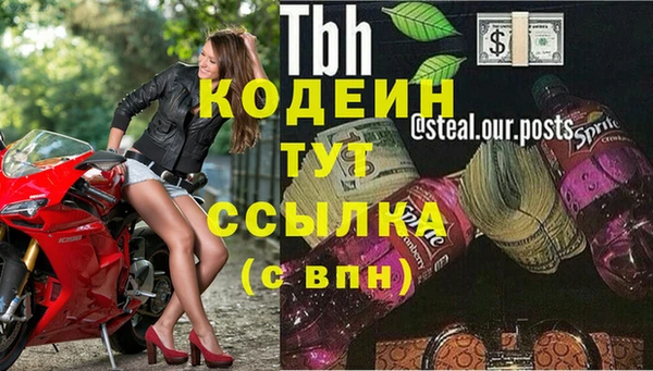 прущие грибы Пролетарск