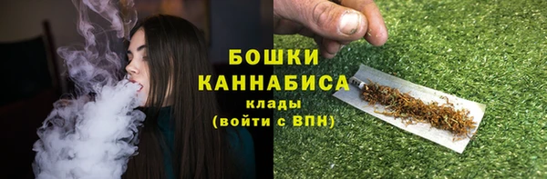 прущие грибы Пролетарск