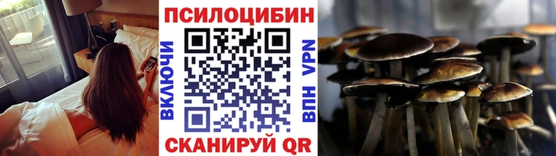 Купить где  Оренбург  Псилоцибиновые грибы Psilocybine cubensis 